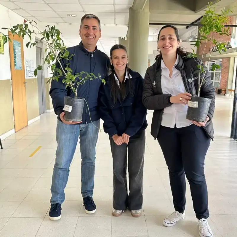 escuelas ecológicas