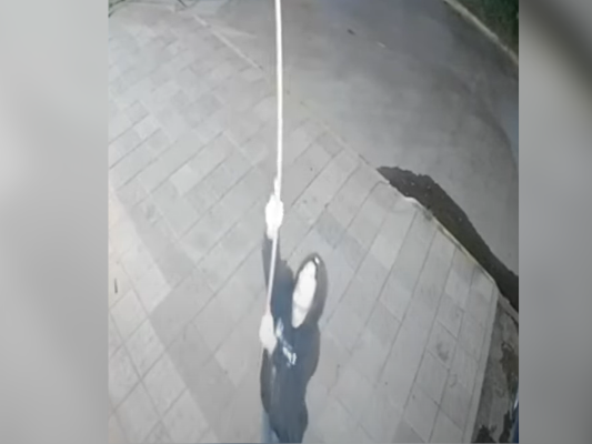 Insólito: abrió la ventana con un caño y trepó al balcón para ingresar a robar