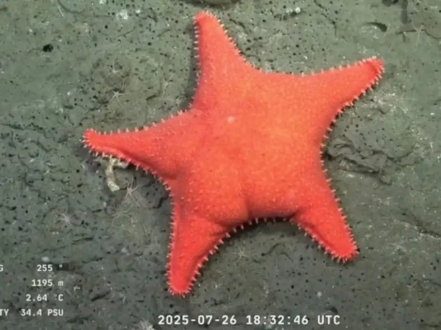 buque científico Uruguay 5