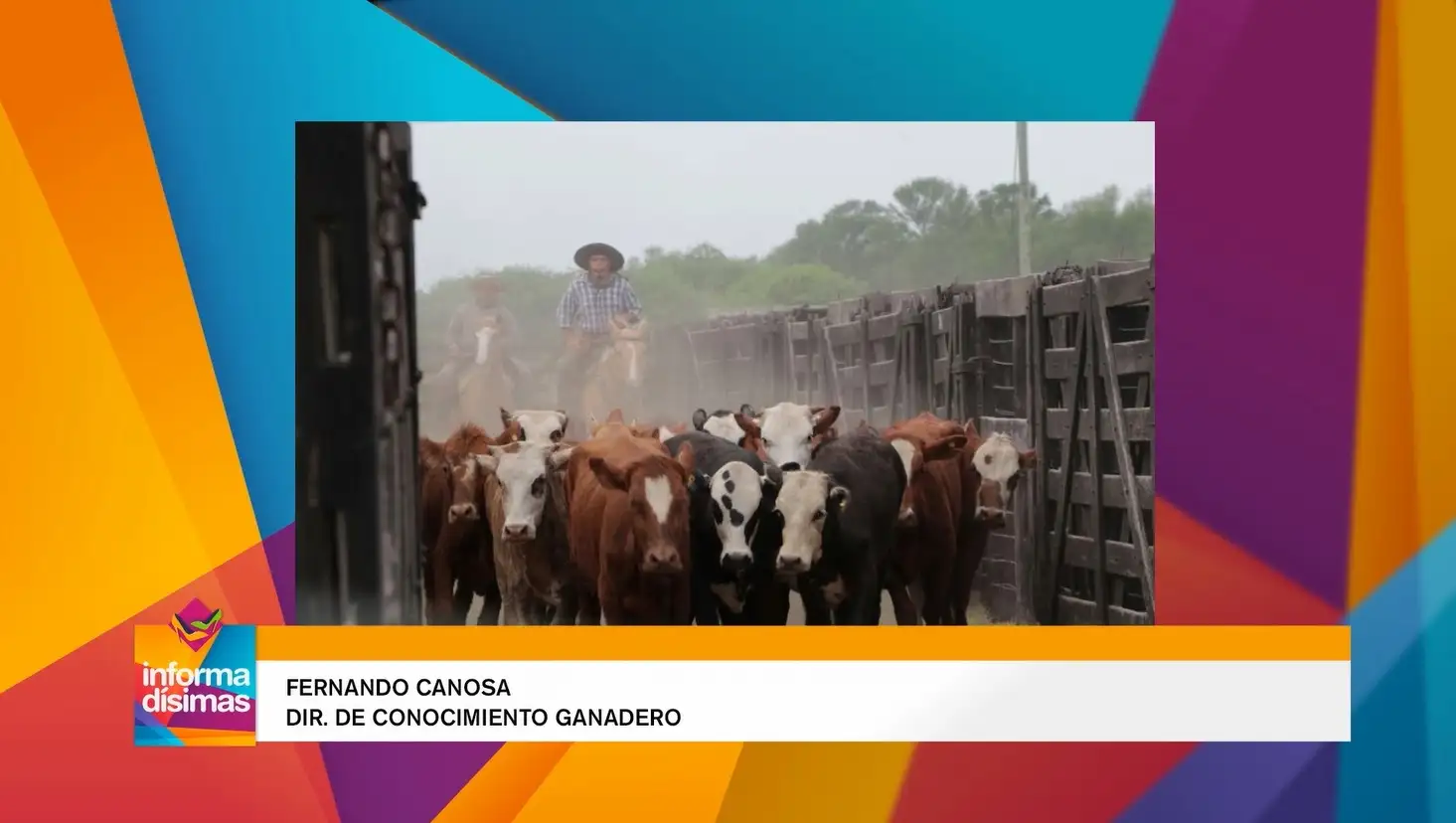 La situación ganadera y la economía de uno de los sectores productivos mas importantes del país
