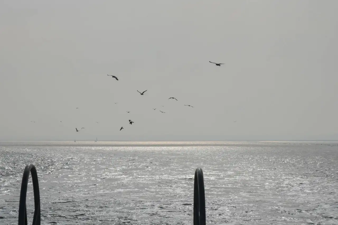 Ratifican por Ley el “Islote de la Isla Cangrejera” como Reserva Natural