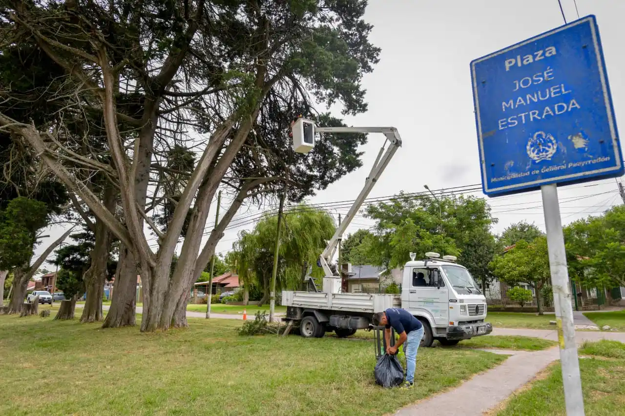 Se procedió al despeje de luminarias con el objetivo de mejorar la visibilidad y la seguridad del sector.