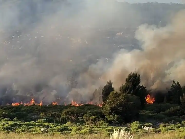Violento robo en un campo de la ruta 226: ataron al encargado, su pareja y provocaron un incendio forestal para escapar