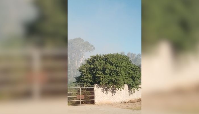 Humo en la zona del basural