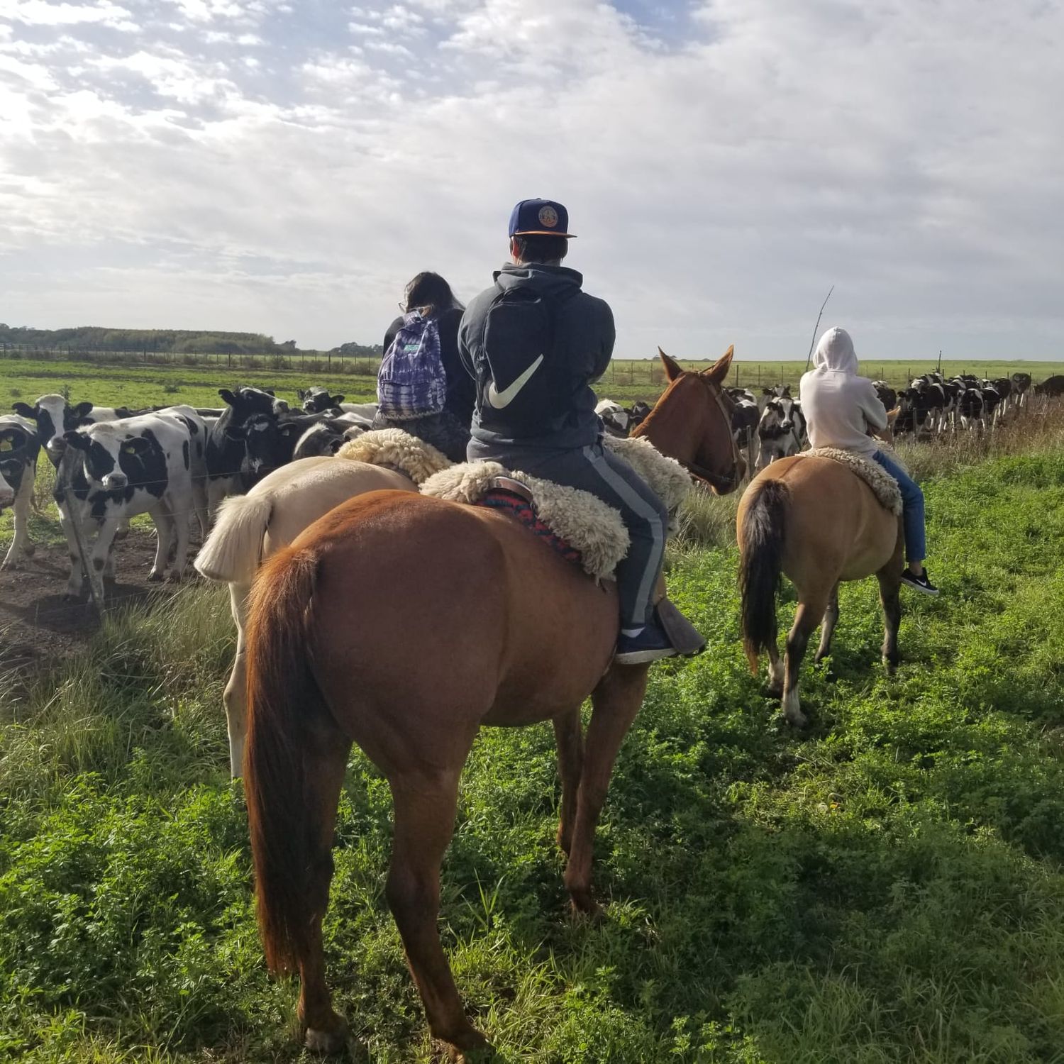 “Hubo un empuje y un crecimiento del turismo rural en los últimos años”