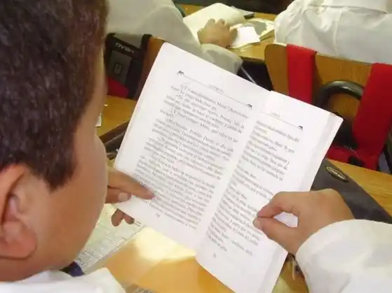 Alfabetización: Uno de cada cuatro alumnos pasa a la secundaria sin comprender lo que lee