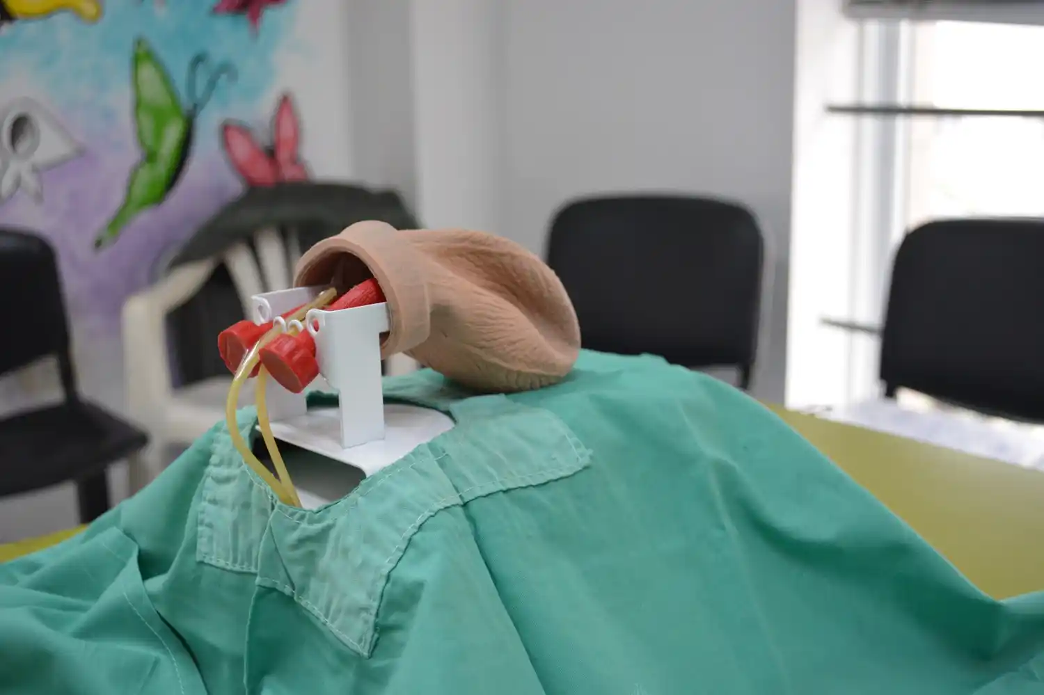 En Provincia se cuenta con los primeros entrenadores en vasectomía sin bisturí del país