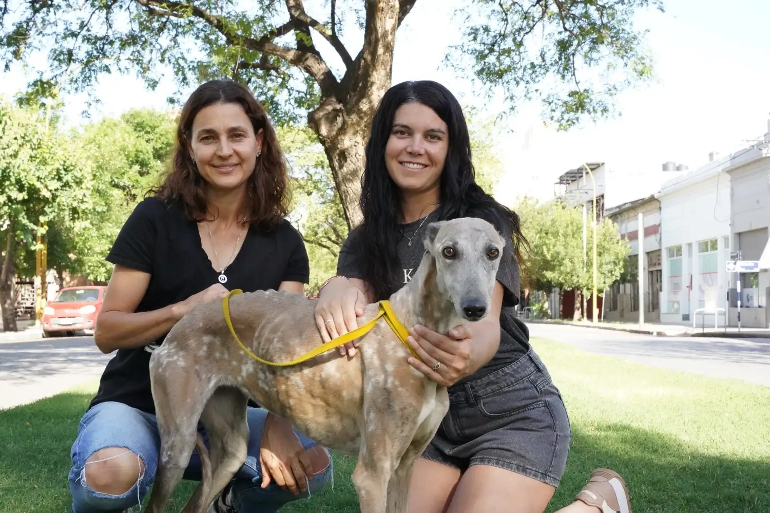 Luciana y Maca trabajan cada una por su lado, pero luchan por un bien común.
