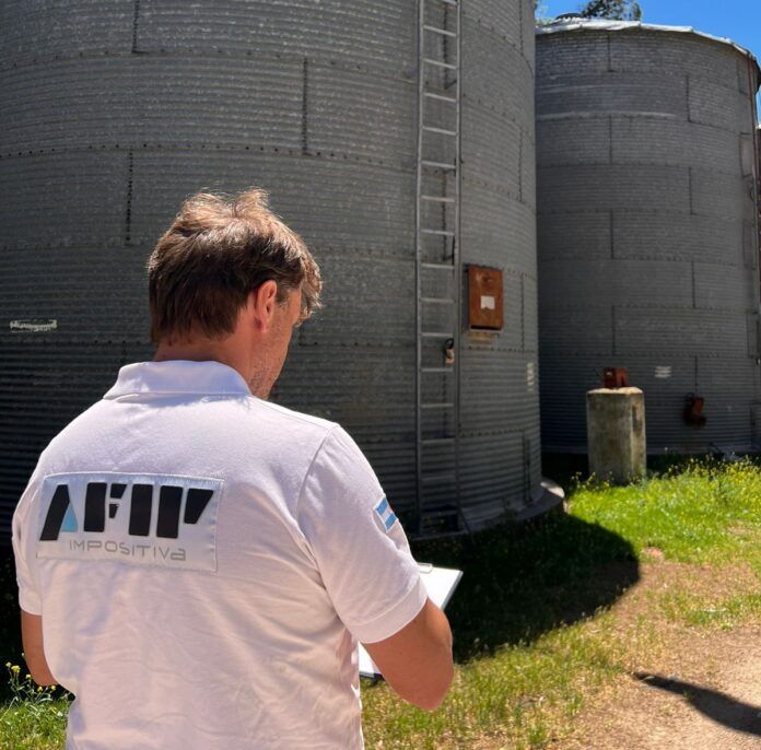 Detectan más de 850 toneladas de granos en un centro de acopio irregular