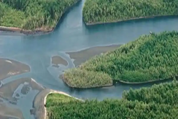 La provincia busca recuperar extensos lotes en las islas Las Lechiguanas 