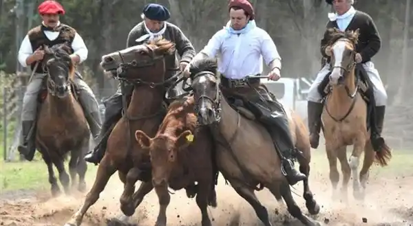 La "Exposición Nacional de Caballos Criollos” será una de las atracciones de la Expo Rural