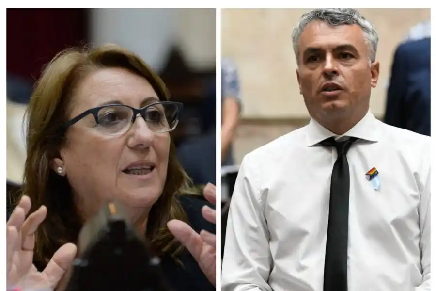 Congreso: el socialismo pedirá que en la sesión de mañana se incluya la emergencia en seguridad para Rosario