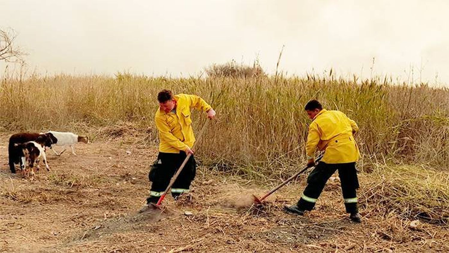 Convocan a voluntarios a combatir el fuego en las islas del Delta