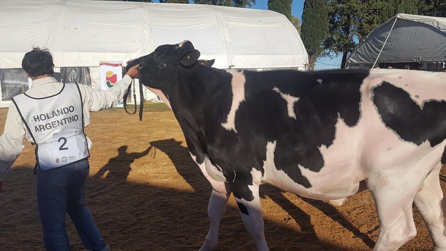 El viernes comenzará la Expo Leche y Expo Jersey Entrerriana