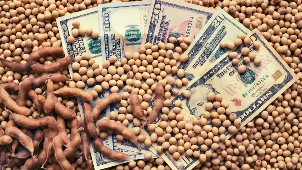 Dato clave para el plan económico del gobierno: el campo liquidó en abril un 32% más