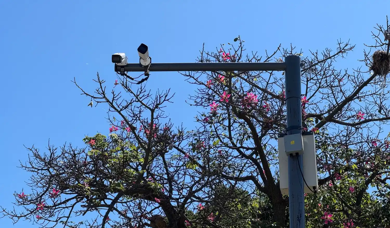 Las cámaras de Cecaitra están siendo colocadas en esquinas con semáforos. Serán seis en total dentro de la ciudad.