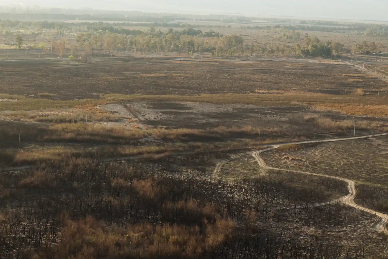 Entre Ríos comenzará el ordenamiento territorial para que el Delta sea parte de las áreas naturales protegidas