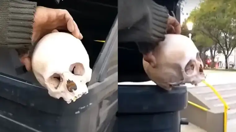 Vecinos fueron a tirar la basura y se encontraron con un cráneo humano en el contenedor