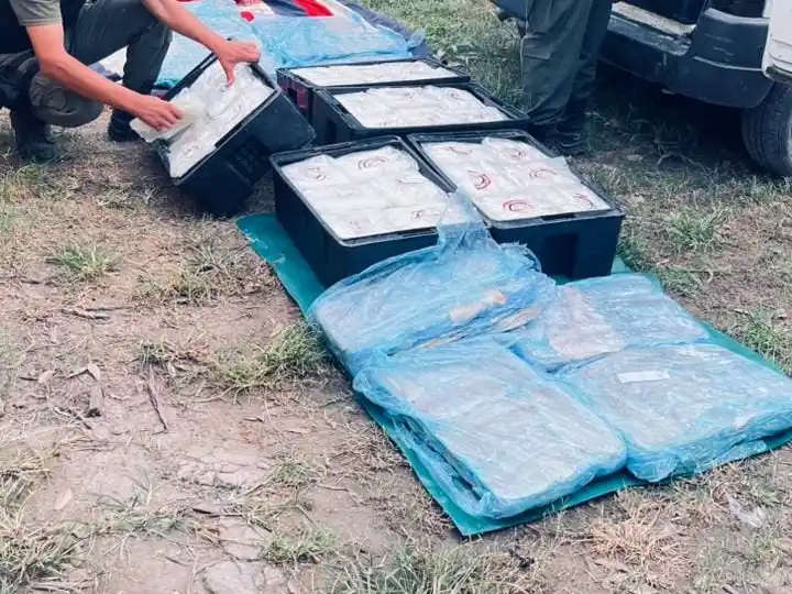 Los Pumas labraron un acta por infracción a la Ley de Pesca: ¿dónde y qué hicieron?