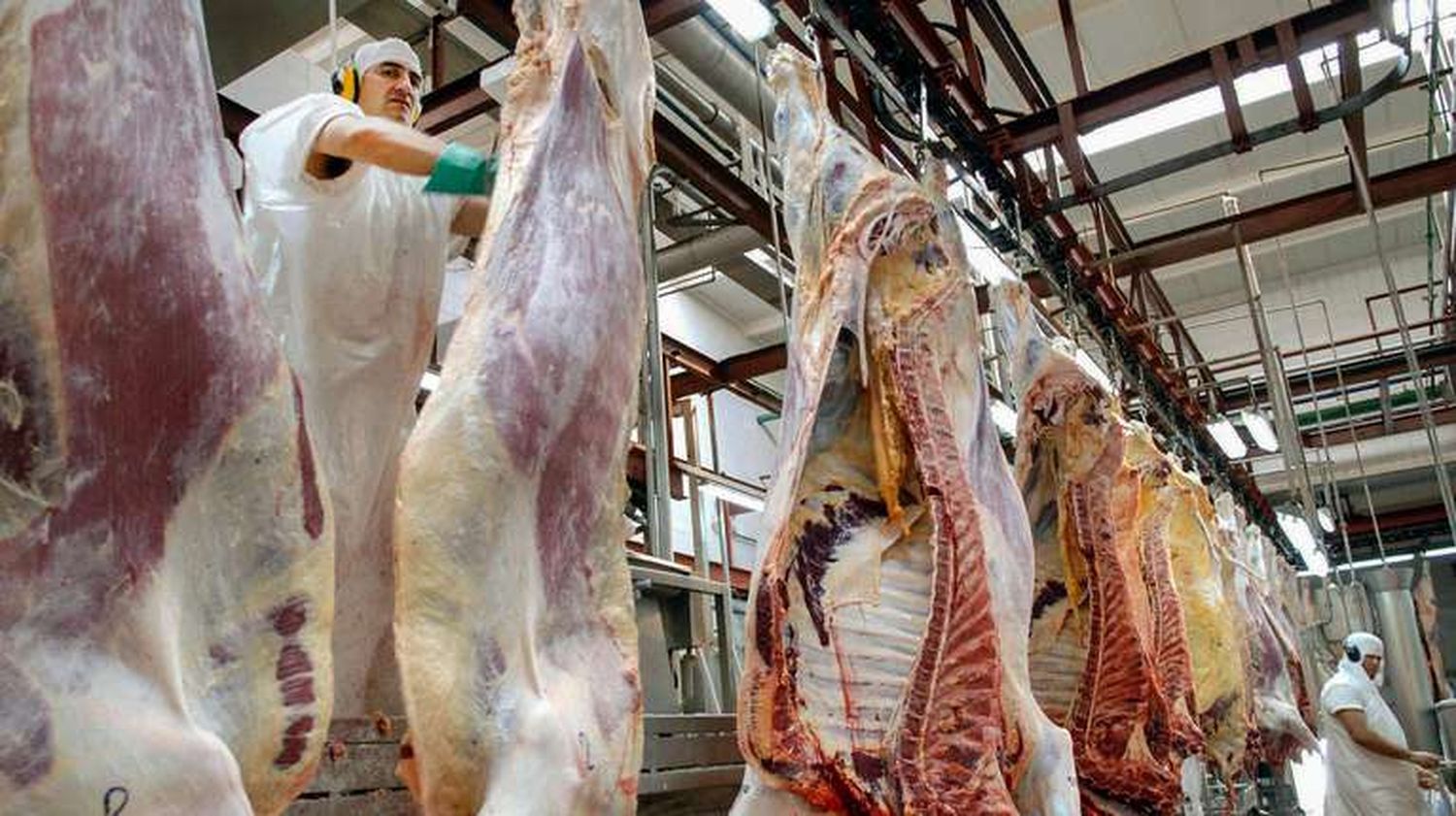 "Cerrar exportaciones es perder divisas genuinas", aseguró un reconocido productor entrerriano