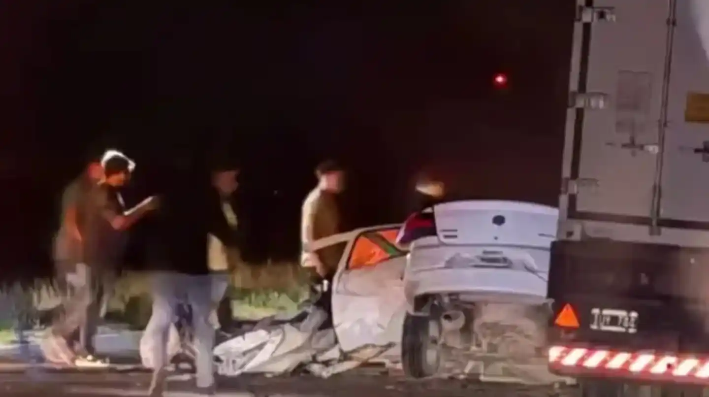 Trágico choque frontal en la Ruta 3: murió un automovilista tras intentar esquivar carpinchos