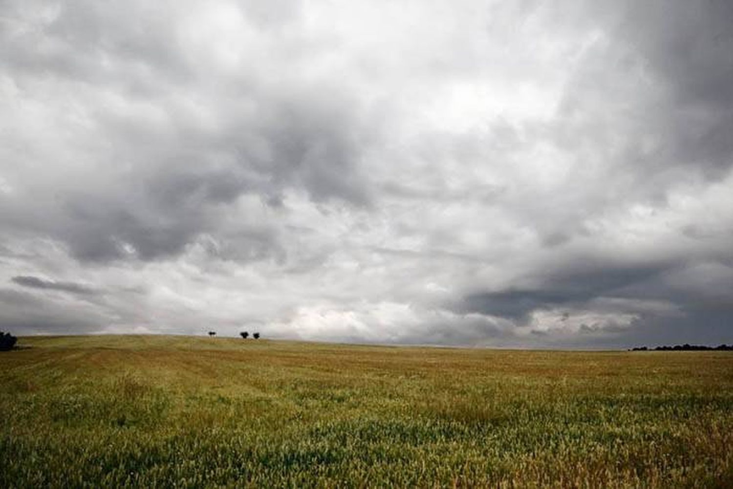 Anticipan lluvias intensas  para Entre Ríos