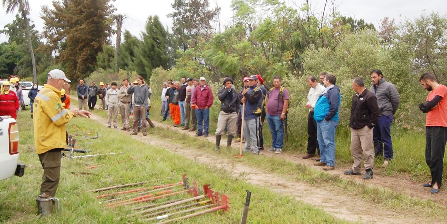 Protegiendo Nuestras Plantaciones Forestales:  Estrategias para Prevenir Incendios Forestales