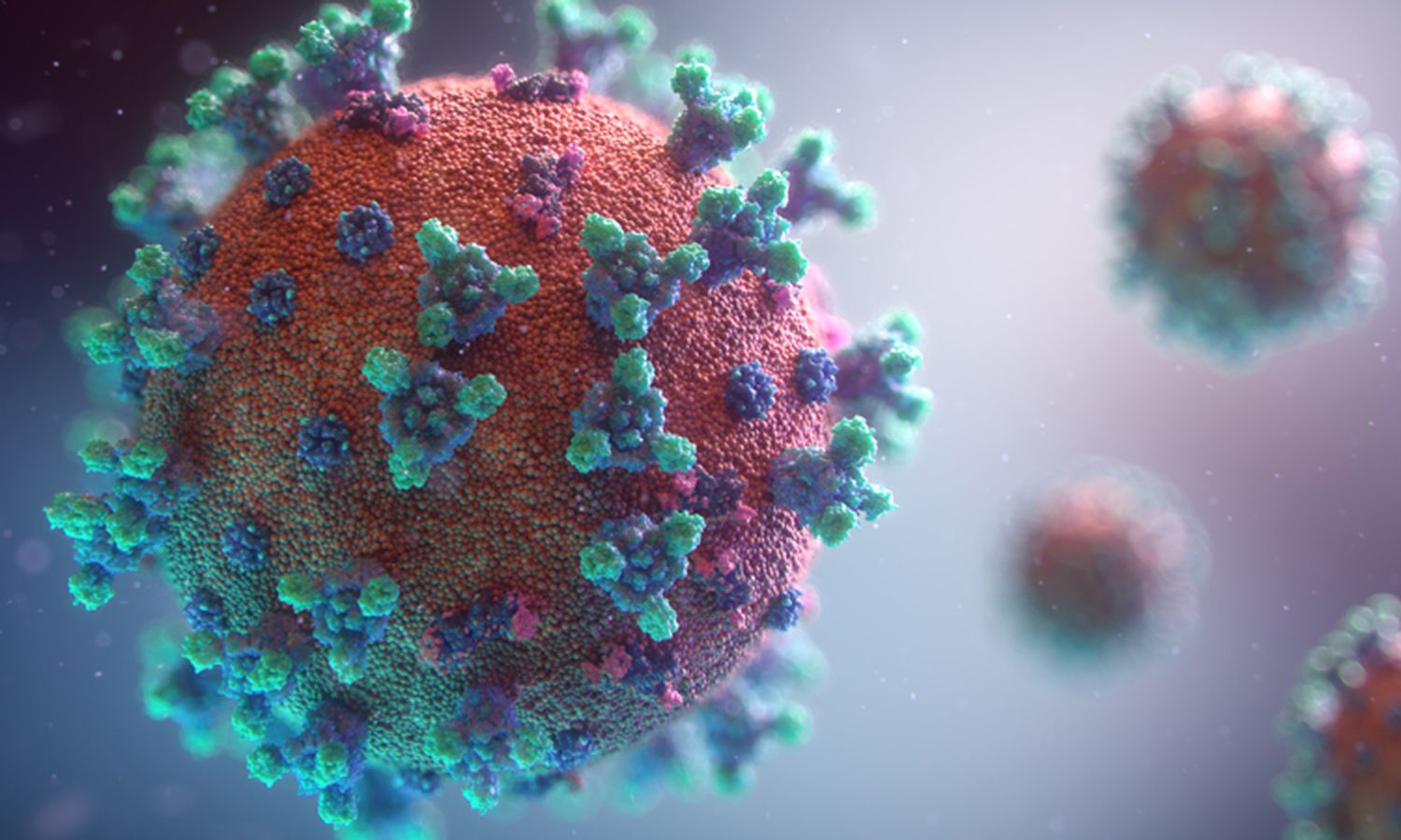 #Coronavirus 9 de febrero: 7.794 nuevos casos y 168 muertes informadas en las últimas 24 horas