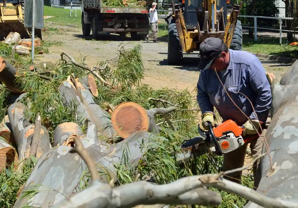 La Municipalidad capacitará a personas interesadas en hacer podas a particulares que requieran el servicio
