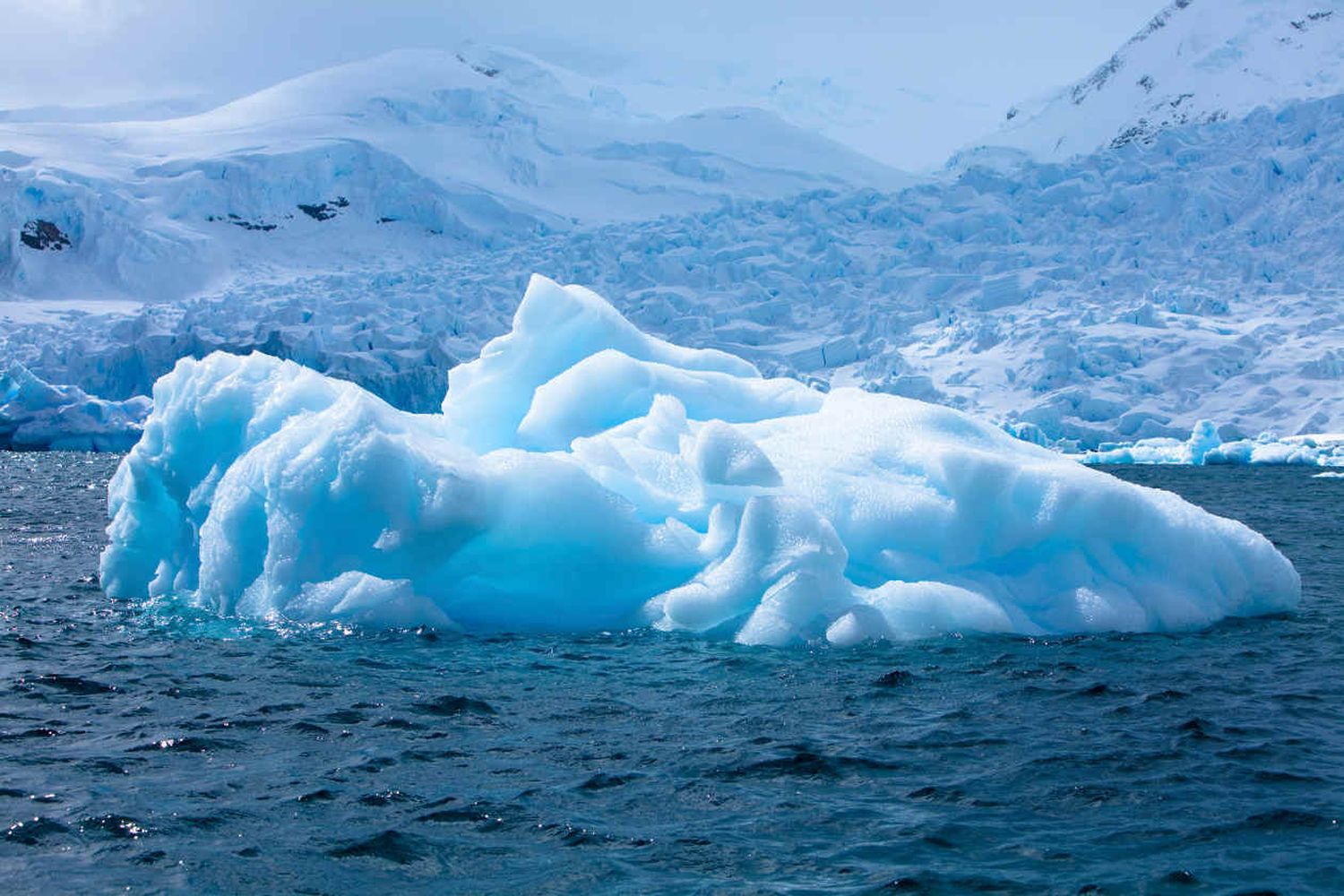 ¿QUÉ SE PUEDE HACER? Advierten que la mitad de glaciares del mundo están condenados a desaparecer