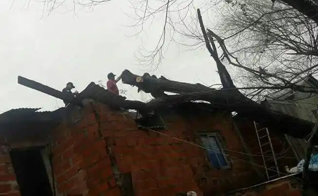 Techos volados, daños y corte de luz: la tormenta castigó a Villa Paranacito
