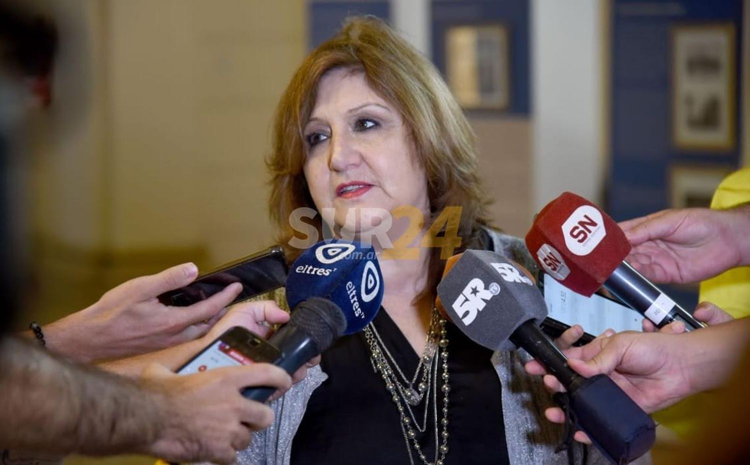 Legisladores de la UCR afirman que “Perotti no tiene plan de educación”