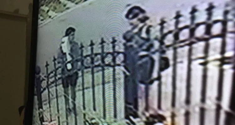 Los captan las cámaras de seguridad mientras roban un vivero