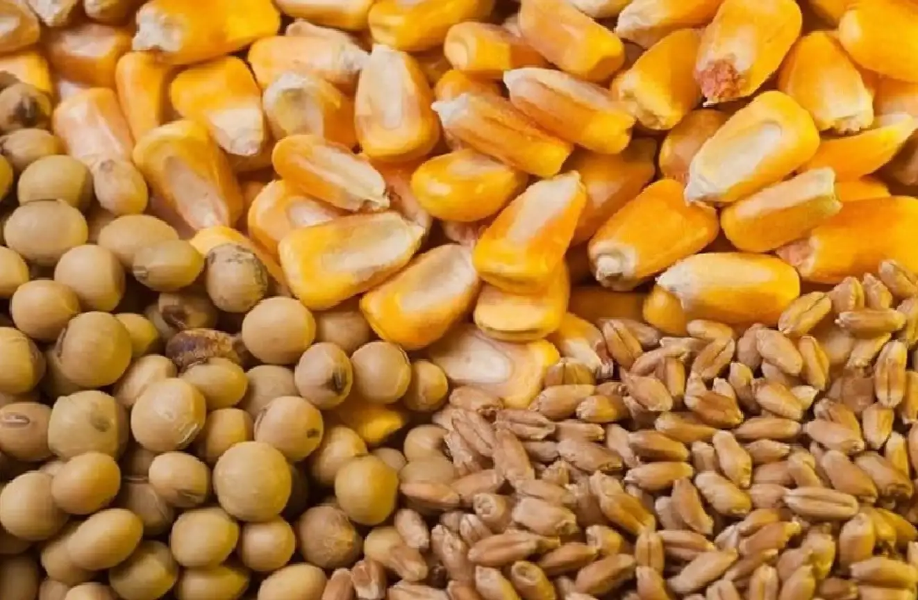 Entre Ríos: soja, maíz y trigo concentraron más del 90% del área agrícola en 27 campañas