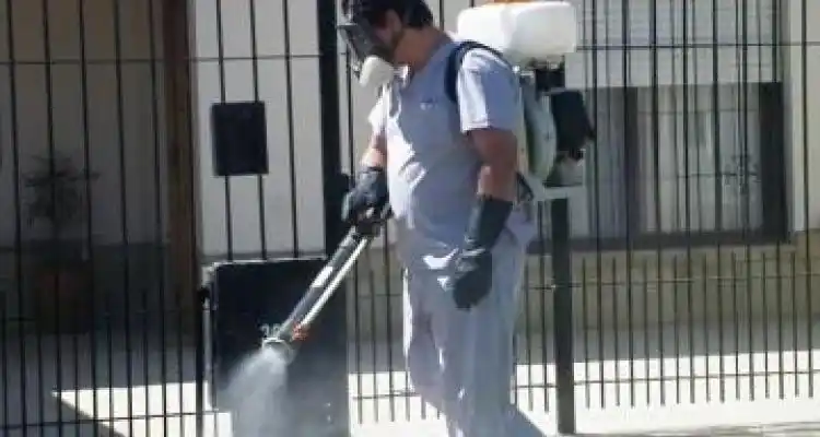 Antes del fin de semana habrá otra fumigación