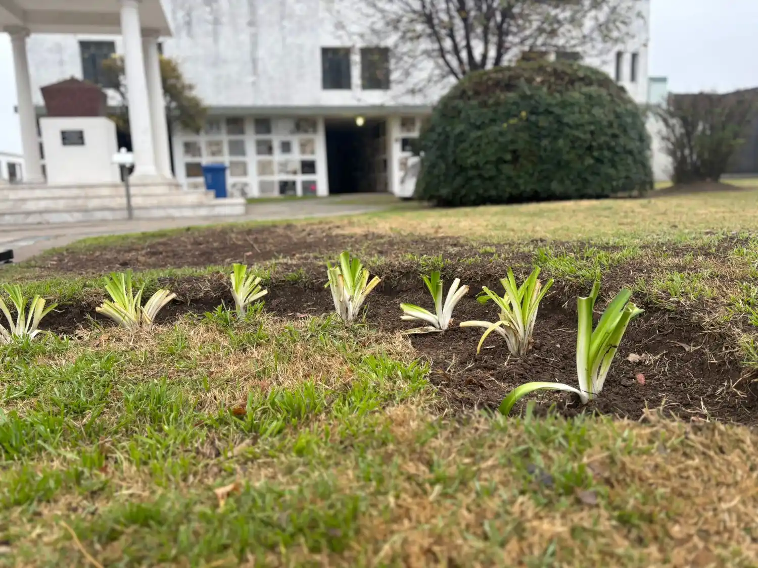 Cementario Municipal