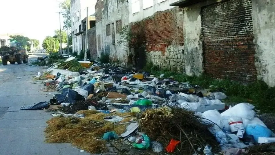 Las conductas y el compromiso ciudadano con el medio ambiente