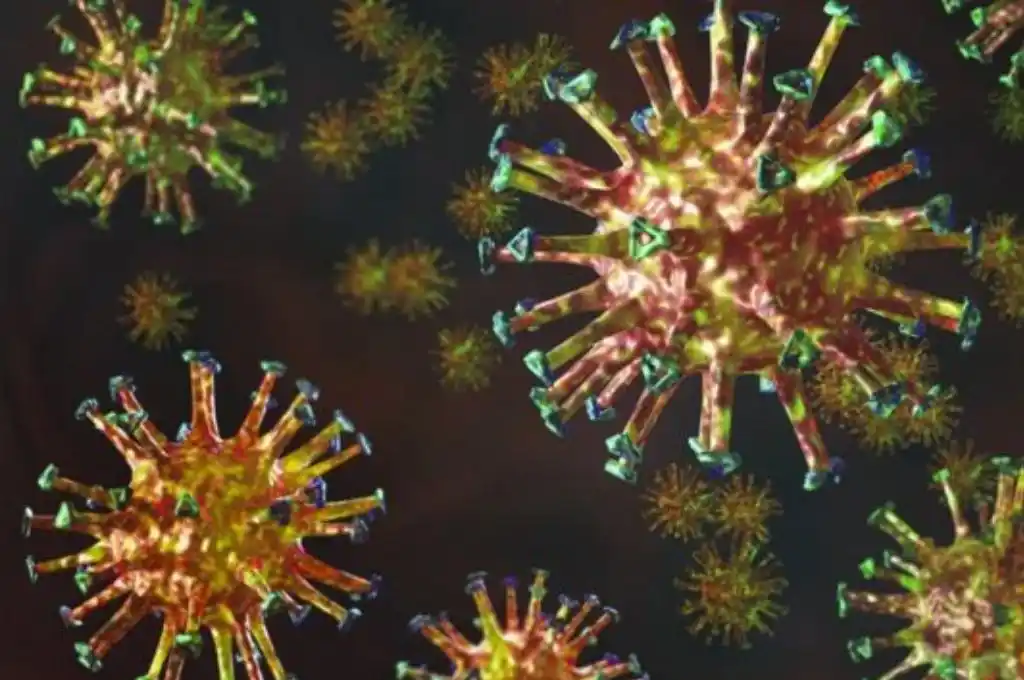 El Malbrán confirmó la presencia de la nueva cepa SARS-CoV-2 en Argentina