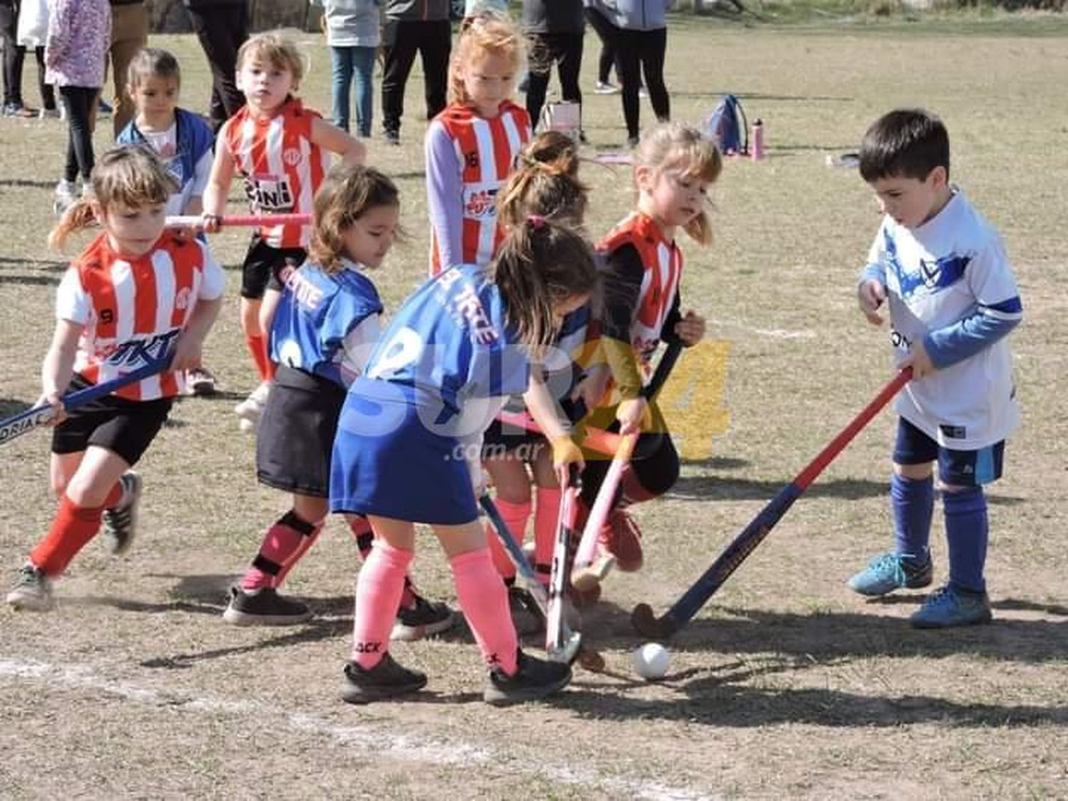 Comenzaron los Encuentros de Escuelitas de hockey