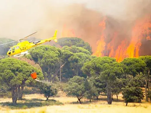 España no logra controlar los incendios forestales. Portugal colabora para atacar el foco más grande