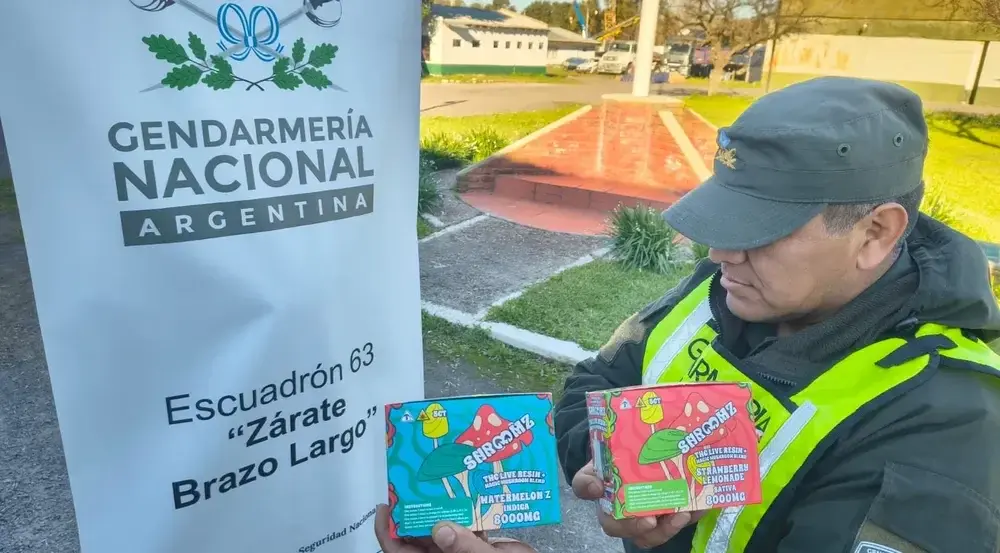 Dos de las 42 cajas con hongos alucinógenos que detectó Gendarmería Nacional en Zárate.

Gendarmería Nacional