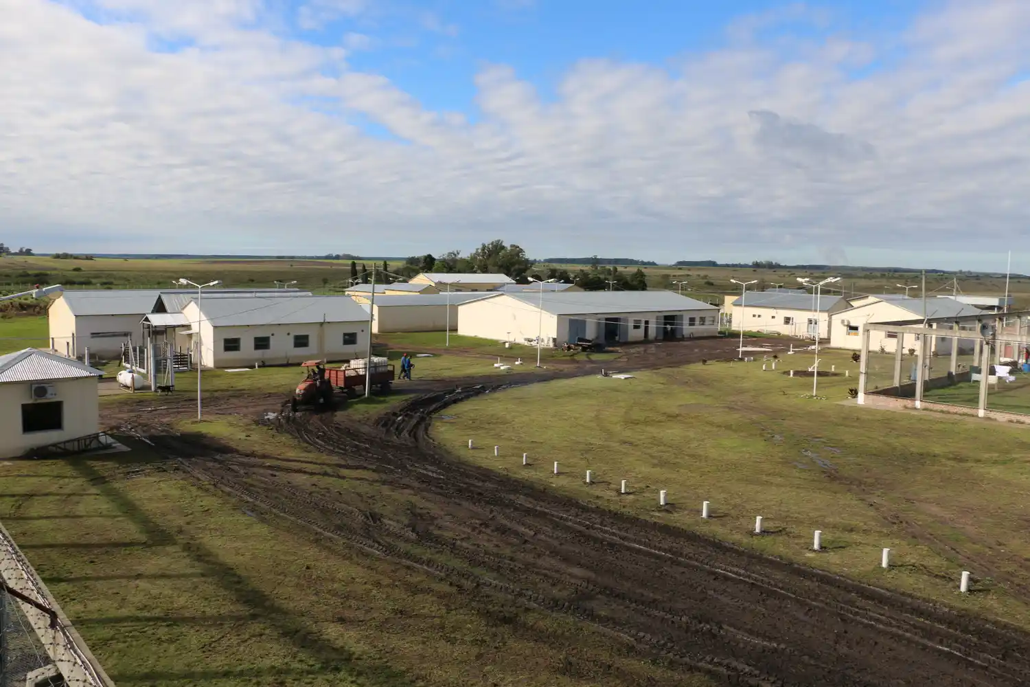 Un agente penitenciario desmayó de una trompada a un superior