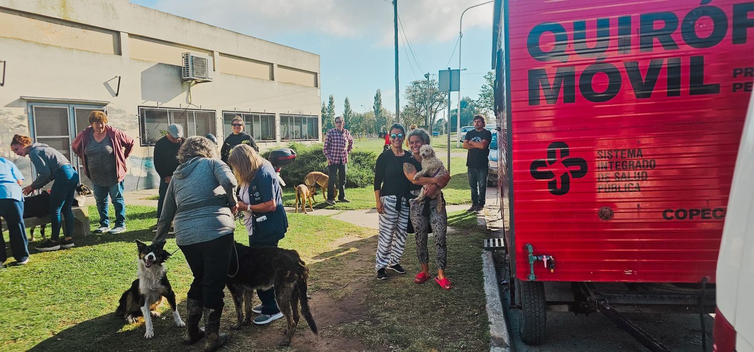 Este jueves Bromatología llevará su programa de castraciones y vacunación a Villa Italia Norte