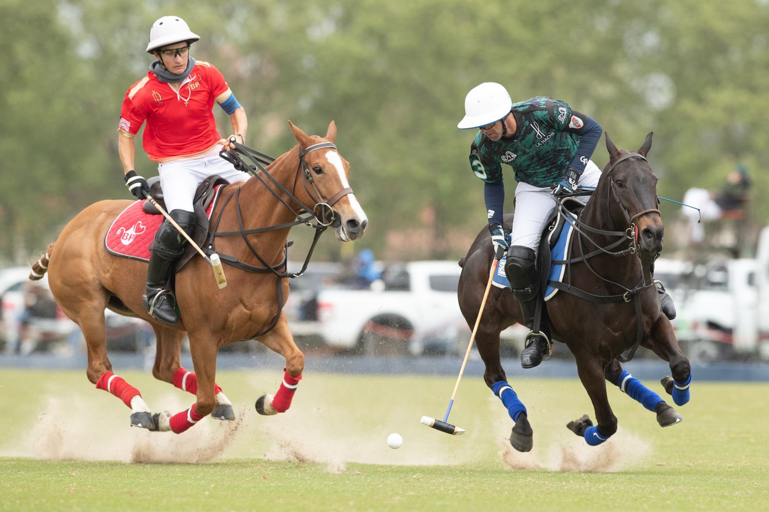 El polo, en definiciones
