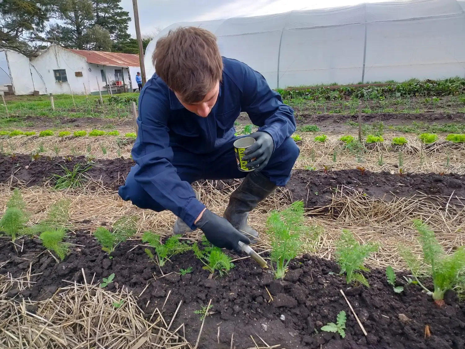 Los estudiantes que integran los proyectos llevan a cabo tareas de cuidado contra el cambio climático.