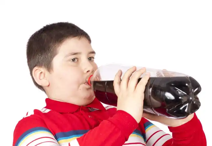 Más de 1.700 argentinos mueren anualmente por patologías asociadas a bebidas azucaradas