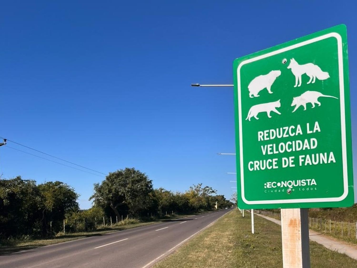 Cuidado de la fauna local en el camino a Puerto Reconquista