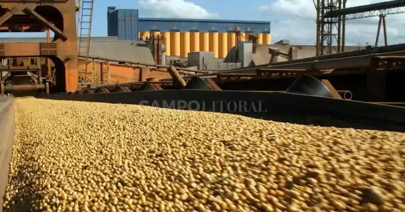 El nivel de crushing de soja sería el más bajo desde el 2000