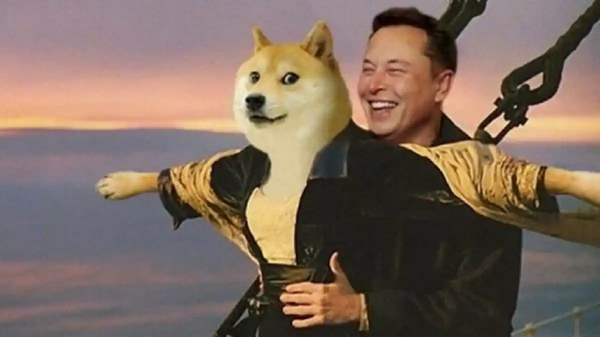 ¿AHORA SE LADRARÁ EN TWITTER? Elon Musk «mete el dedo en la llaga» y sustituye al pajarito por «Doge»