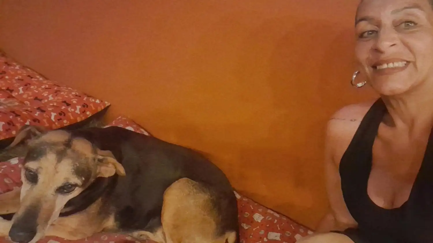 La perrita fue adoptada y ya tiene un hogar